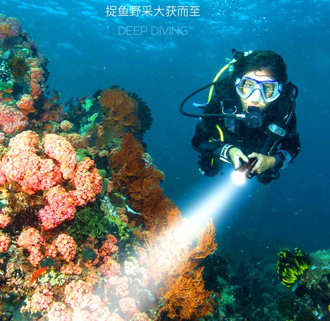 潜水手电筒中霍尔IC的工作原理